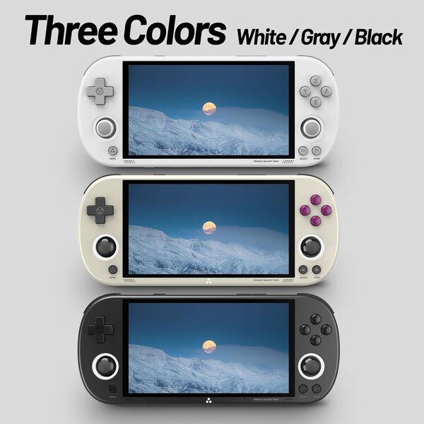 Trimui Smart Pro Retro Console de jeu 4,96